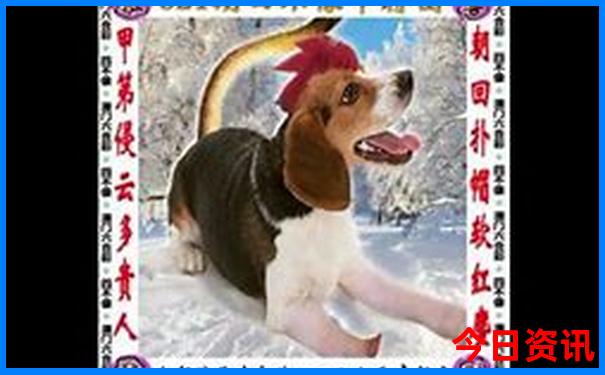 云南7天6晚自由行攻略