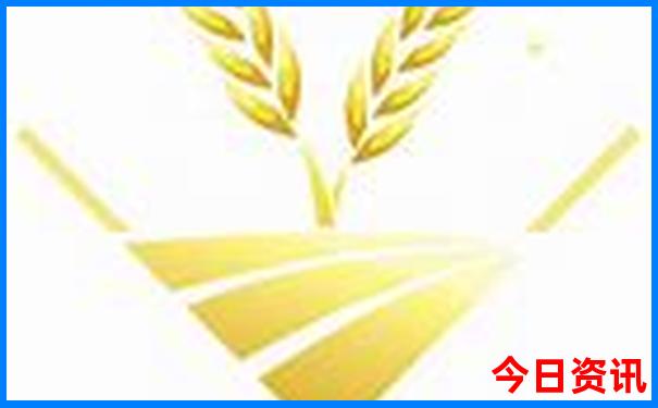 广东省哪里好玩景点排名前十名